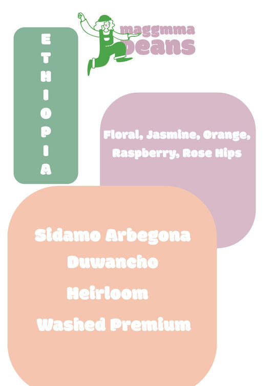 ETHIOPIA SIDAMO ARBEGONA DUWANCHO Washed