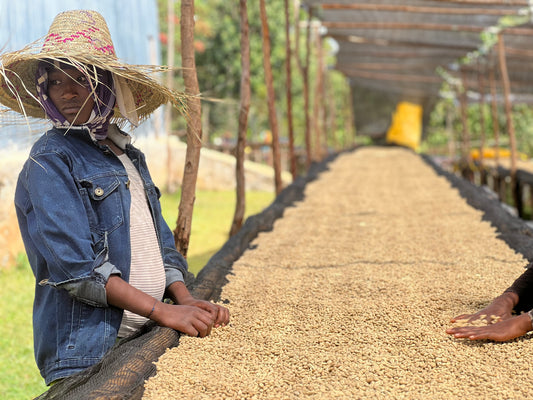 ETHIOPIA DUWANCHO Natural premium