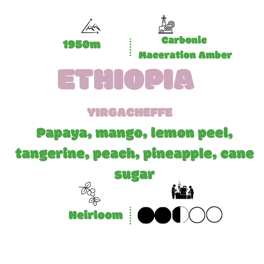 DOR - ETHIOPIA YIRGACHEFFE HEIRLOOM GARGARI AMBER CARBONIC MACERATION