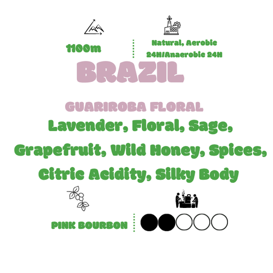 FRILUFTSLIV - BRAZIL PINK BOURBON, GABRIEL LAMOUNIER/HOMERO PAIVA - AEROBIC NATURAL 24H/ANAEROBIC NATURAL 24H