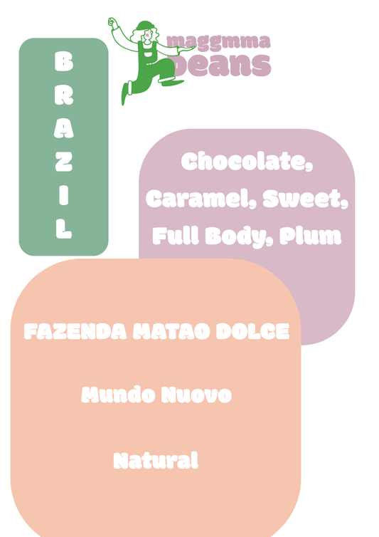 BRAZIL FAZENDA MATAO DOLCE Natural Mundo Nuovo