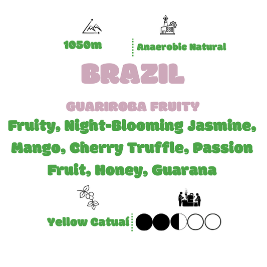 KLOCKRENT - BRAZIL GUARIROBA FRUITY, YELLOW CATUAI