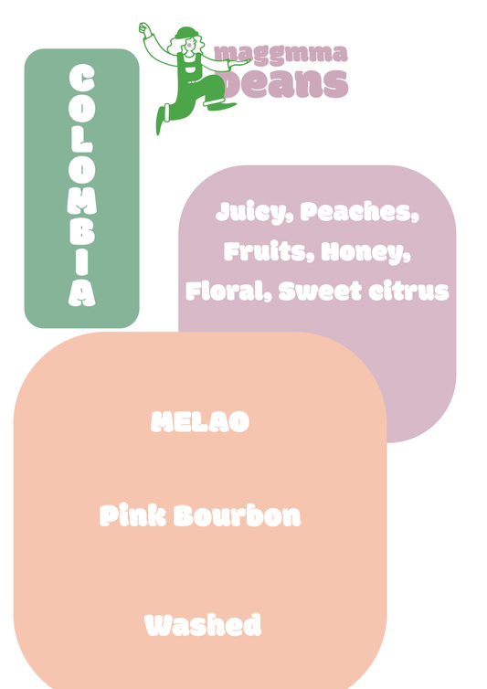 COLOMBIA MELAO PINK BOURBON Washed