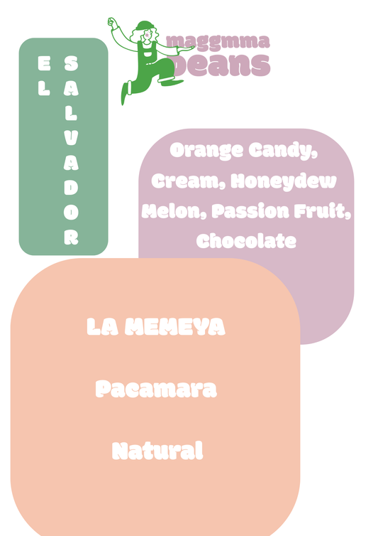EL SALVADOR LA MEMEYA Natural Pacamara