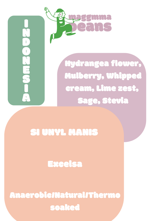 INDONESIA SI UNYIL MANIS Excelsa Anaerobic / Natural / Thermo soaked