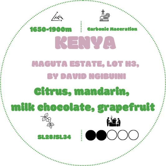 BADKRUKA - KENYA MAGUTA ESTATE, LOT H3, BY DAVID NGIBUINI