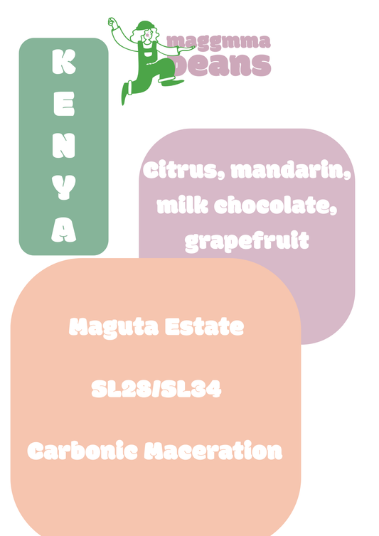 KENYA MAGUTA ESTATE, LOT H3, BY DAVID NGIBUINI Carbonic Maceration