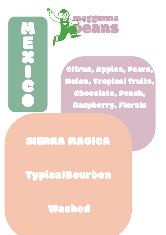 MEXICO SIERRA MAGICA Washed Typica, Bourbon, Caturra and Marsellesa