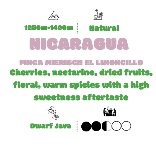 PÅ G - NICARAGUA FINCA MIERSICH EL LIMONCILLO DWARF JAVA NATURAL