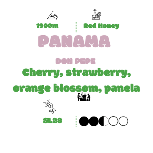 777 - PANAMA DON PEPE SL28H RED HONEY