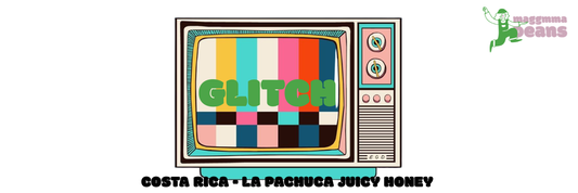 COSTA RICA LA PACHUCA Honey