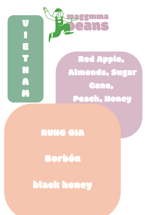KVITTO? NEJ, TACK! - VIETNAM RUNG GIA, Black Honey, Bourbon