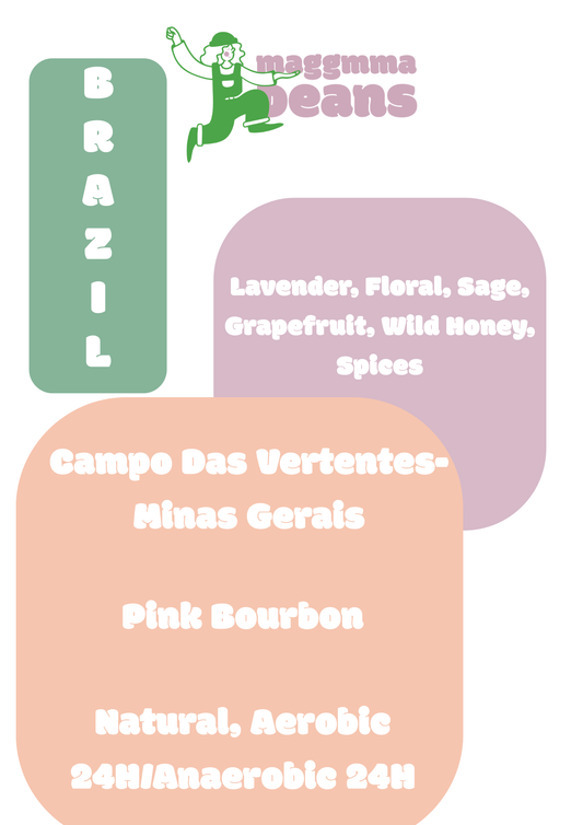 BRAZIL GABRIEL LAMOUNIER/HOMERO PAIVA Pink Bourbon,  Aerobic natural 24H/Anaerobic natural 24H