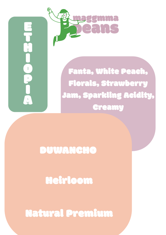 ETHIOPIA DUWANCHO Natural premium