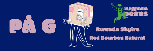 RWANDA SHYIRA Red Bourbon Natural
