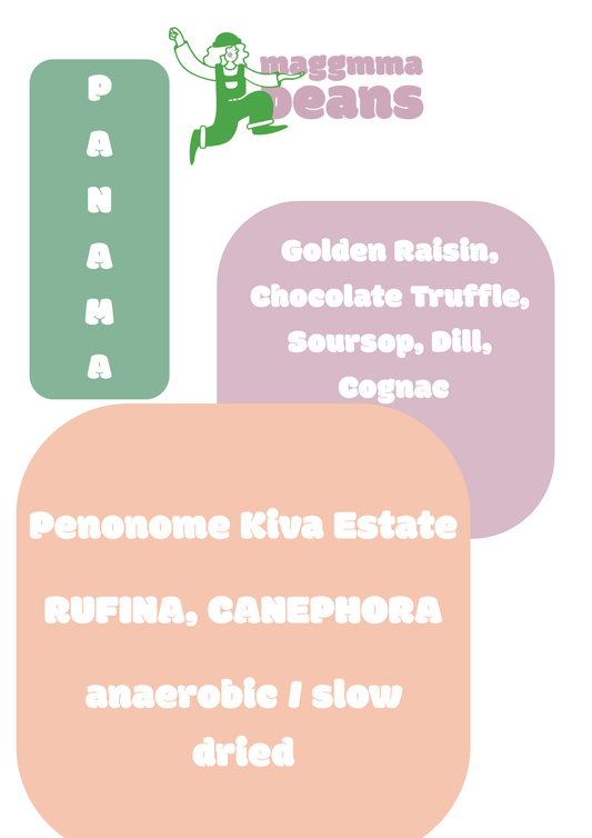 PANAMA RUFINA CANEPHORA, Anaerobic Slow Dried, BRS2314